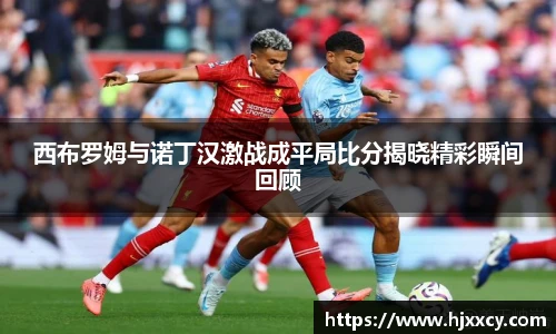 西布罗姆与诺丁汉激战成平局比分揭晓精彩瞬间回顾